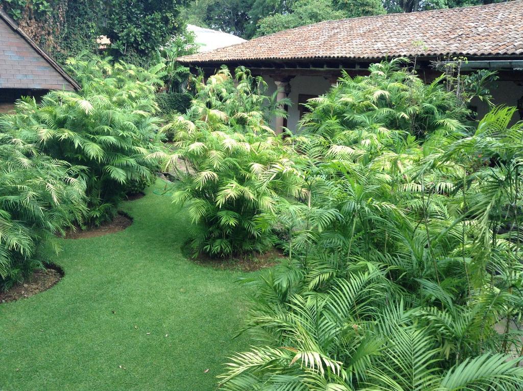 מלון Uruapan  Hacienda San Pedro מראה חיצוני תמונה